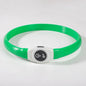 LED Luminous Dog Colla - Pawsitive Cuddles