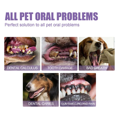 Pet Oral Repair Gel Tartar Removal Odor Eliminator - Pawsitive Cuddles
