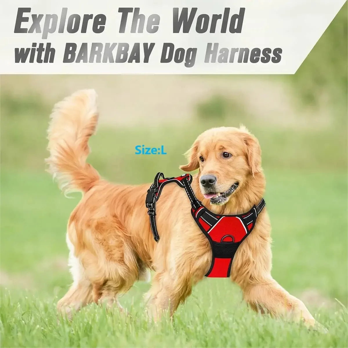 Dog Collar, Harness & Leash Set - Pawsitive Cuddles