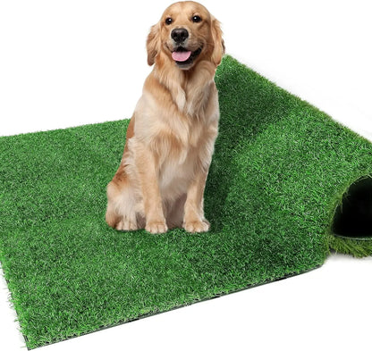 Artificial Grass Pad for Dog Potty Training - Pawsitive Cuddles