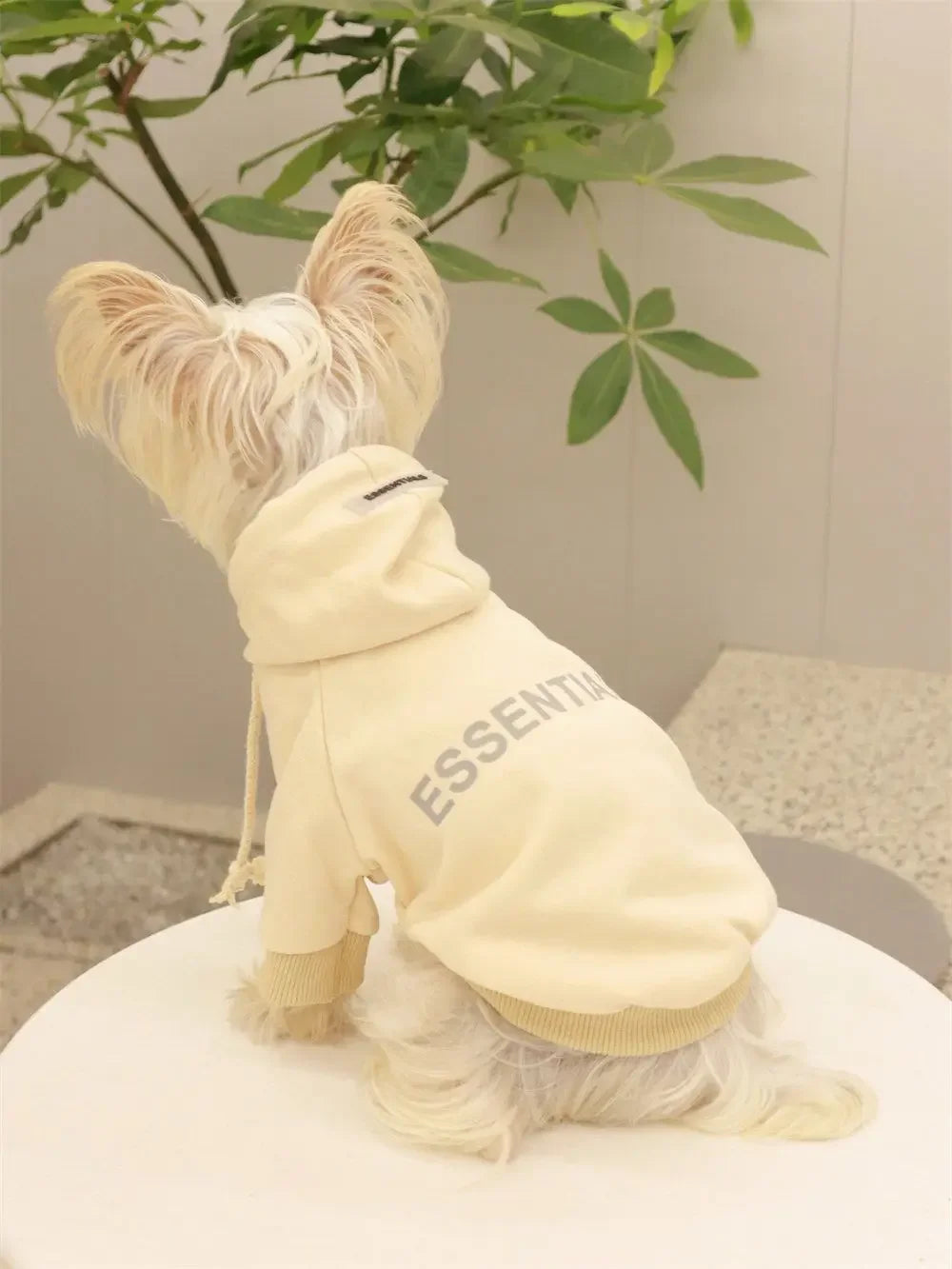 Casual Clothing for Small & Large Dogs and Cats - Pawsitive Cuddles