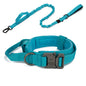 Reflective Nylon Dog Collar & Leash Set - Pawsitive Cuddles
