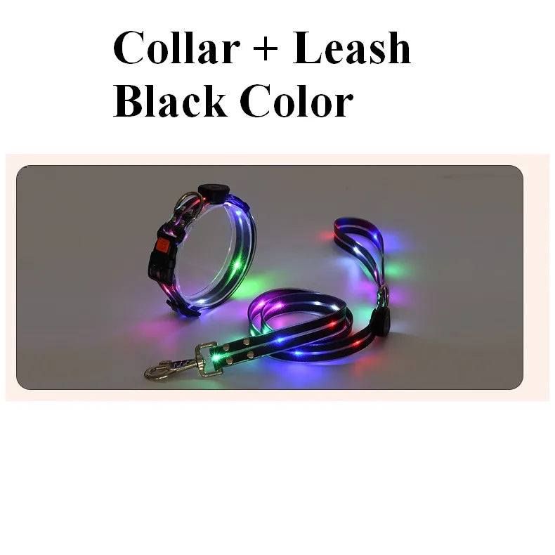 Pet LED Light UP Leash USB Rechargeable - Pawsitive Cuddles