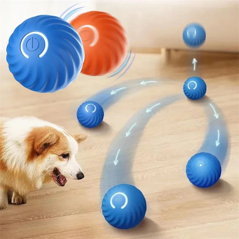 USB Rechargeable Interactive Bouncing Ball - Pawsitive Cuddles