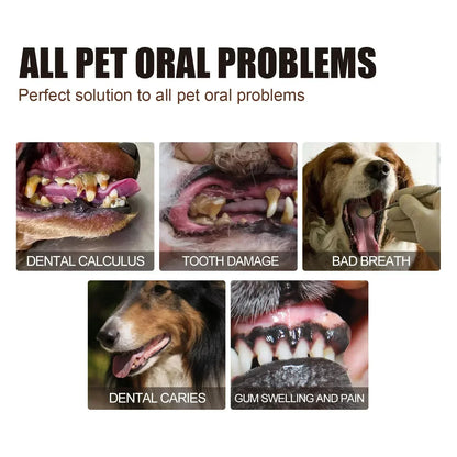 Pet Tooth Cleaning Spray - Pawsitive Cuddles