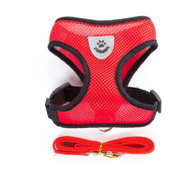 Breathable & Reflective Vest for Small Dogs & Cats - Pawsitive Cuddles