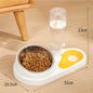 Double Cat Bowl Feeder – Large Capacity Food & Water Dispenser - Pawsitive Cuddles
