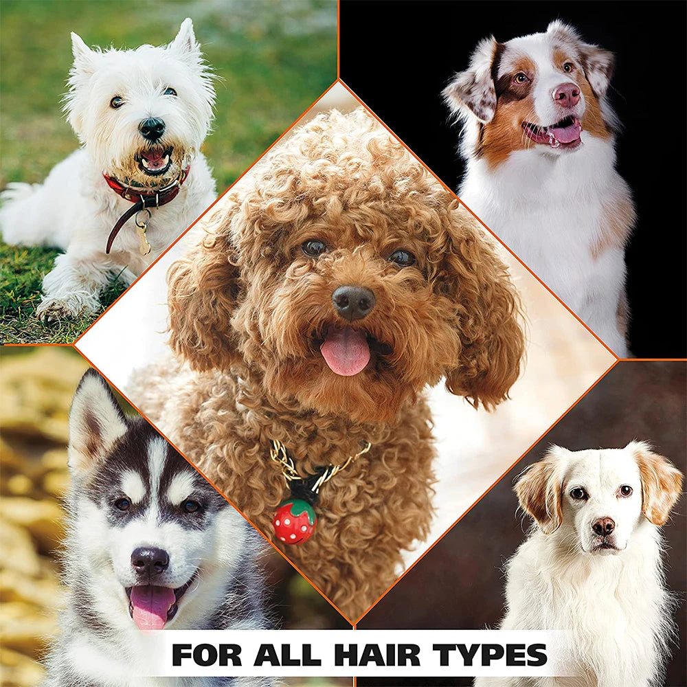 All-Natural 4-in-1 Pet Shampoo & Conditioner - Pawsitive Cuddles