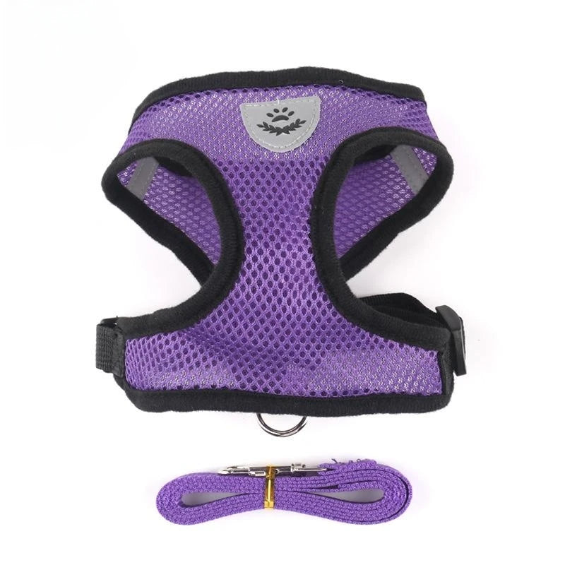 Breathable & Reflective Vest for Small Dogs & Cats - Pawsitive Cuddles