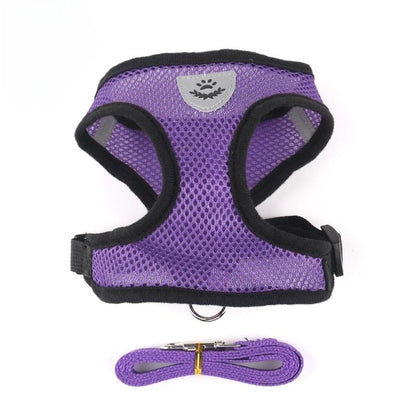 Breathable & Reflective Vest for Small Dogs & Cats - Pawsitive Cuddles