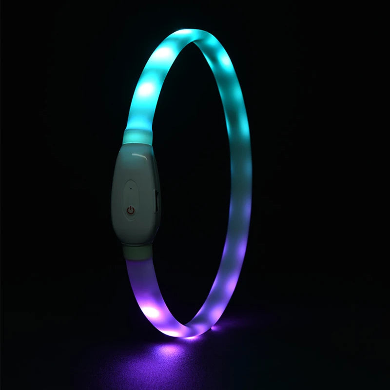 USB Rechargeable Glowing Collar for Large and Small Dogs - Pawsitive Cuddles