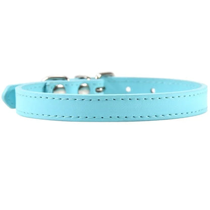 Colorful Leather Puppy & Cat Collar - Pawsitive Cuddles