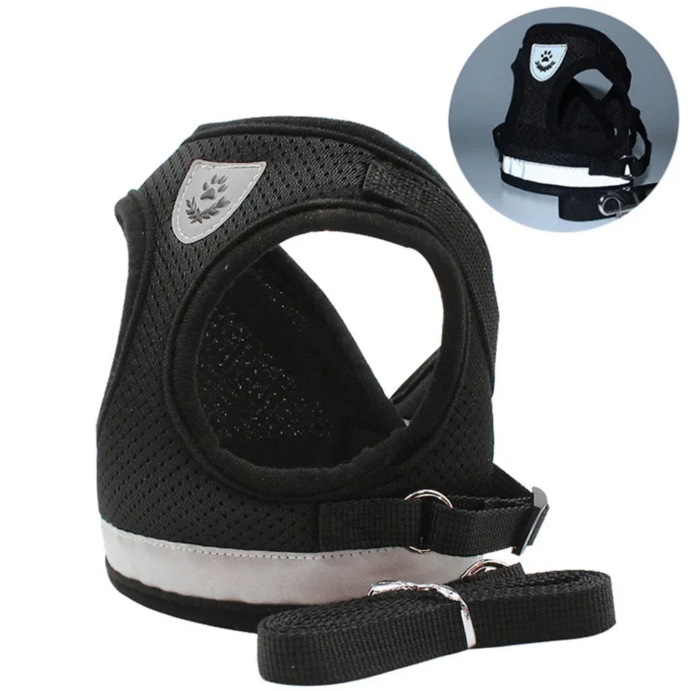 Escape-Proof Mesh Vest for Cats & Small Dogs – Soft Pet Harness with Lead - Pawsitive Cuddles