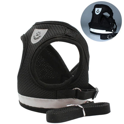 Escape-Proof Mesh Vest for Cats & Small Dogs – Soft Pet Harness with Lead - Pawsitive Cuddles