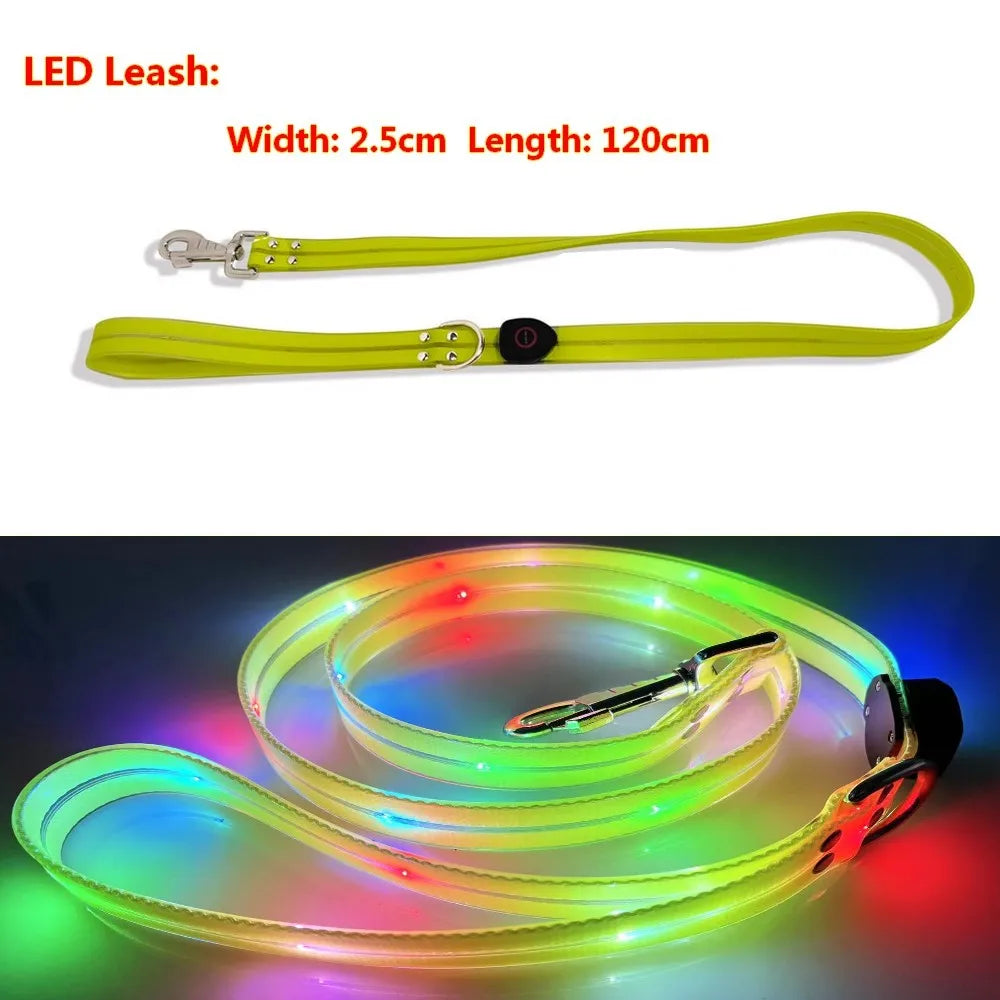 Pet LED Light UP Leash USB Rechargeable - Pawsitive Cuddles