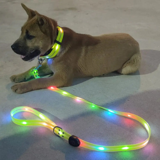 Pet LED Light UP Leash USB Rechargeable - Pawsitive Cuddles