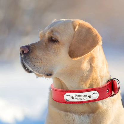 Personalized PU Leather Dog Collar - Pawsitive Cuddles