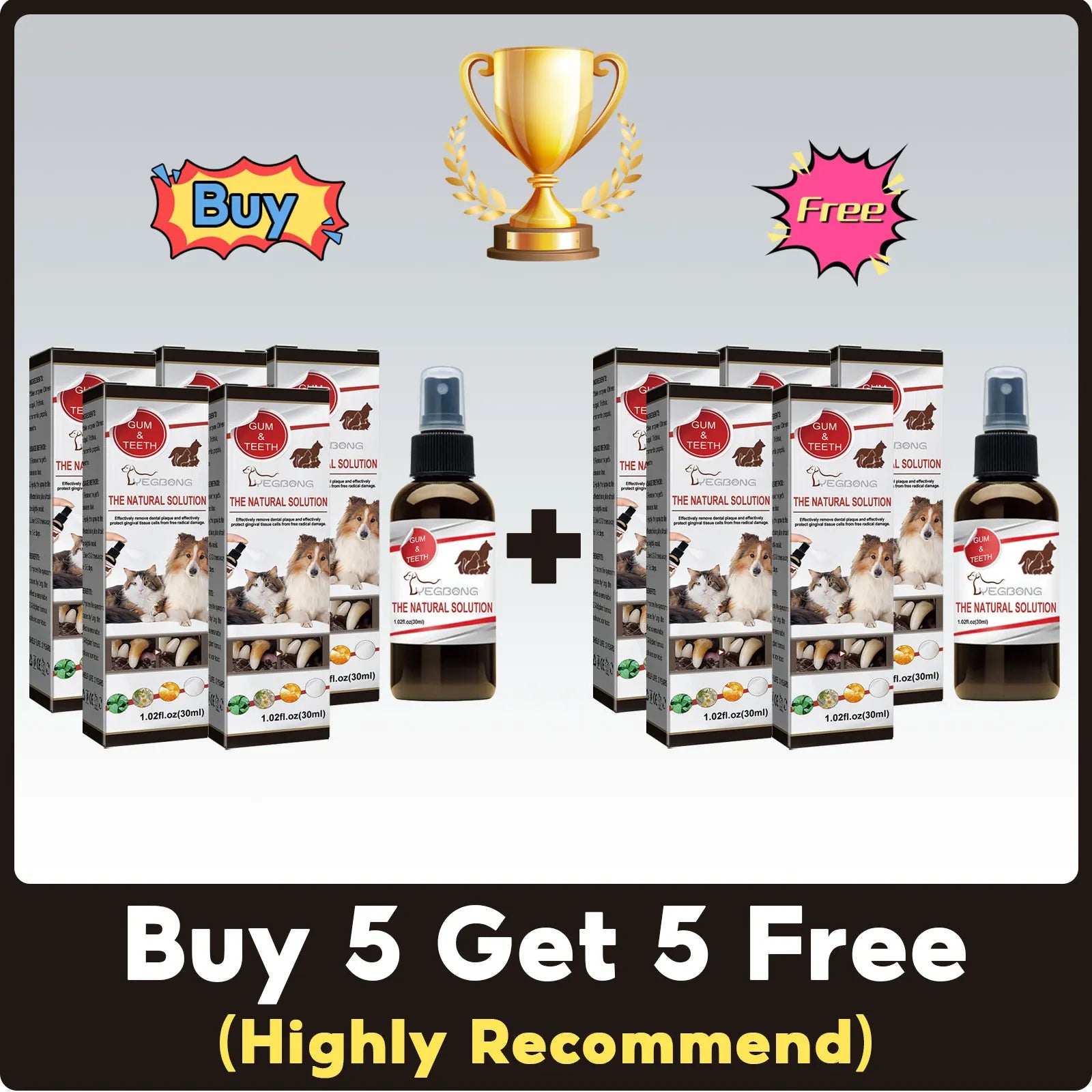 Dental Cleaning & Tartar Removal for Dogs - Pawsitive Cuddles