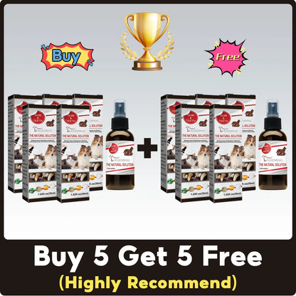 Dental Cleaning & Tartar Removal for Dogs - Pawsitive Cuddles
