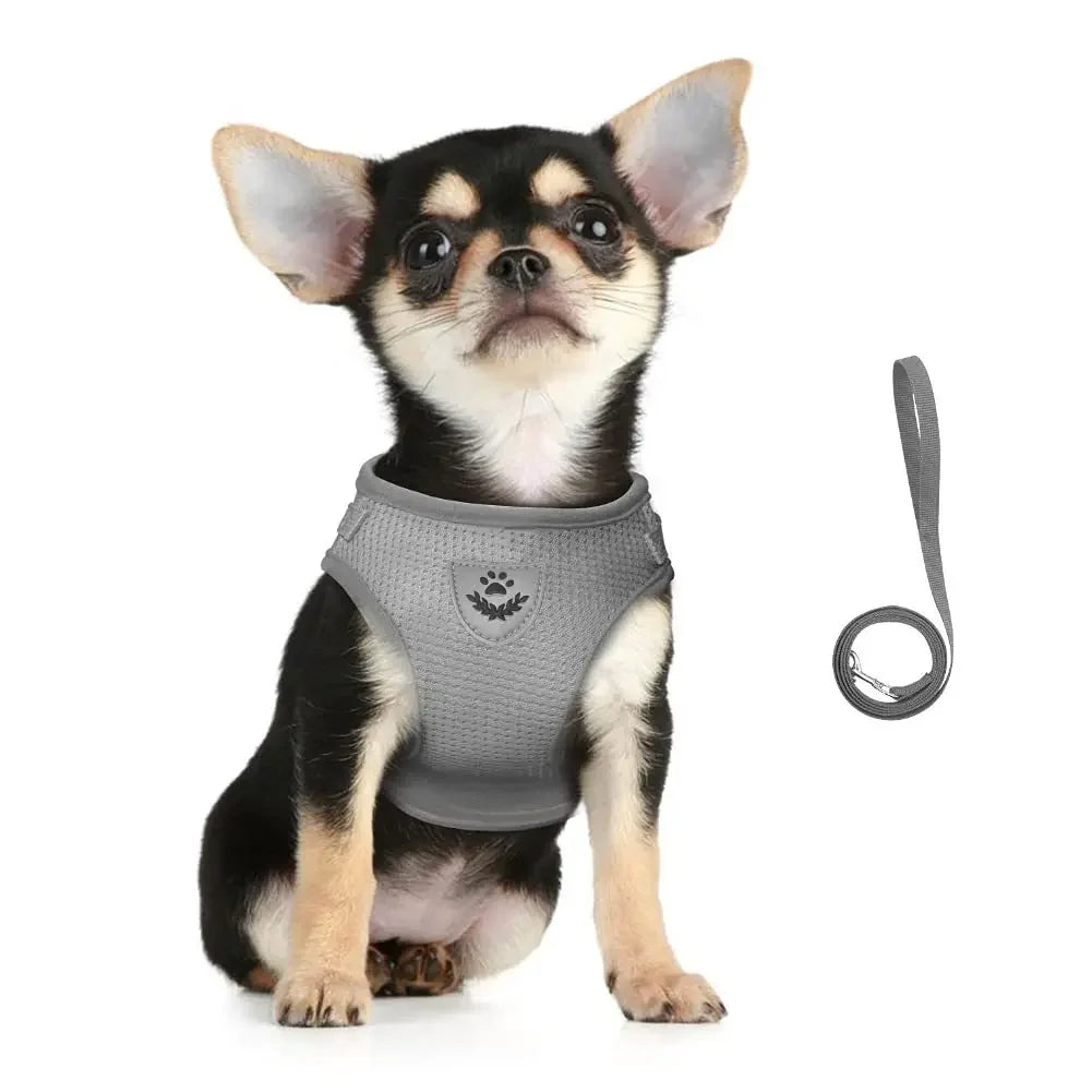 Escape-Proof Mesh Vest for Cats & Small Dogs – Soft Pet Harness with Lead - Pawsitive Cuddles