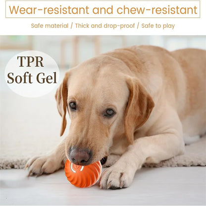 USB Rechargeable Interactive Bouncing Ball - Pawsitive Cuddles