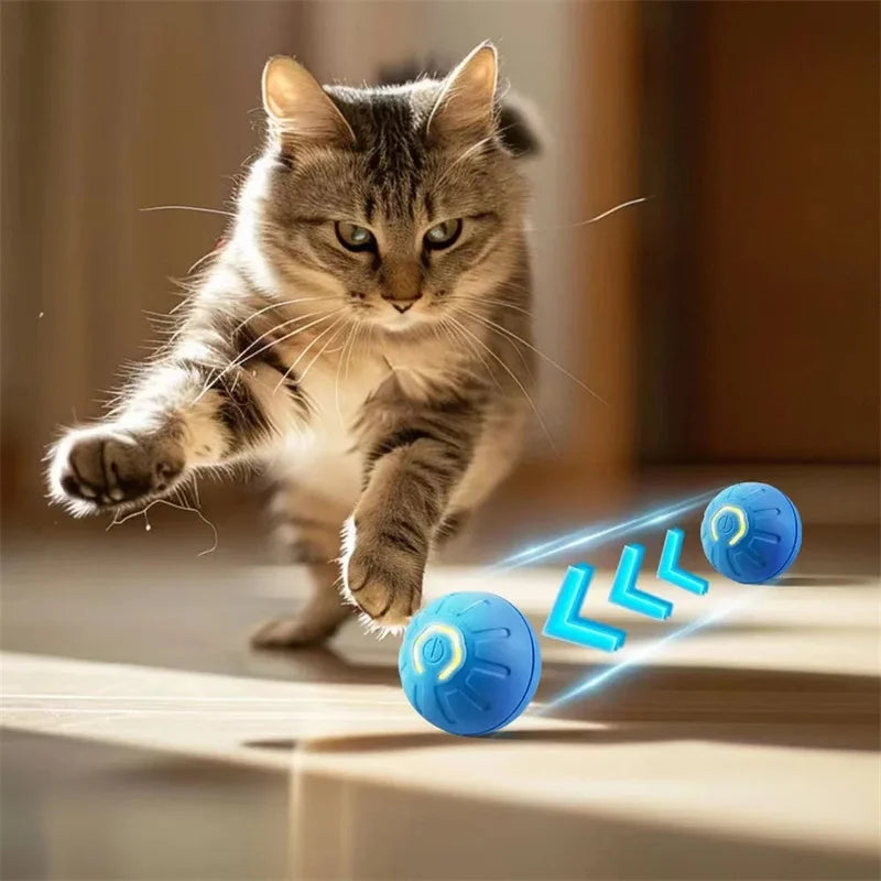 USB Rechargeable Interactive Bouncing Ball - Pawsitive Cuddles