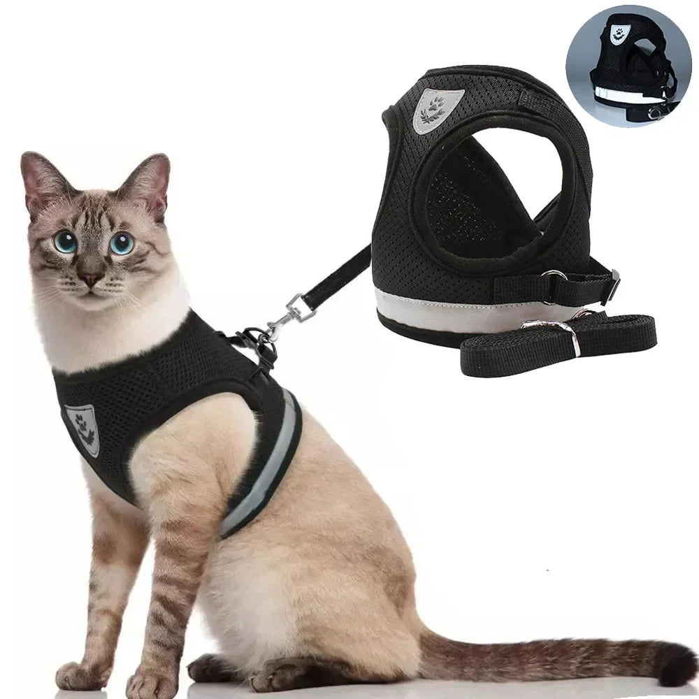 Escape-Proof Mesh Vest for Cats & Small Dogs – Soft Pet Harness with Lead - Pawsitive Cuddles