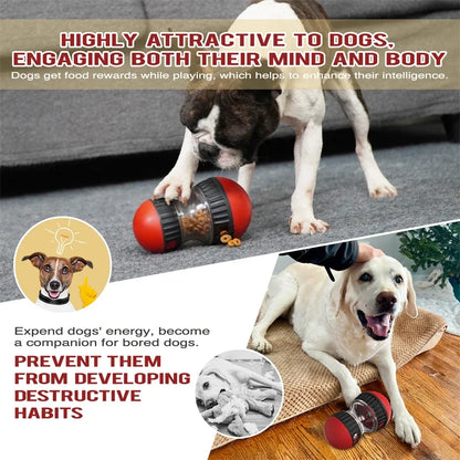 Elliptical Track Rolling Ball with Treat Dispenser - Pawsitive Cuddles