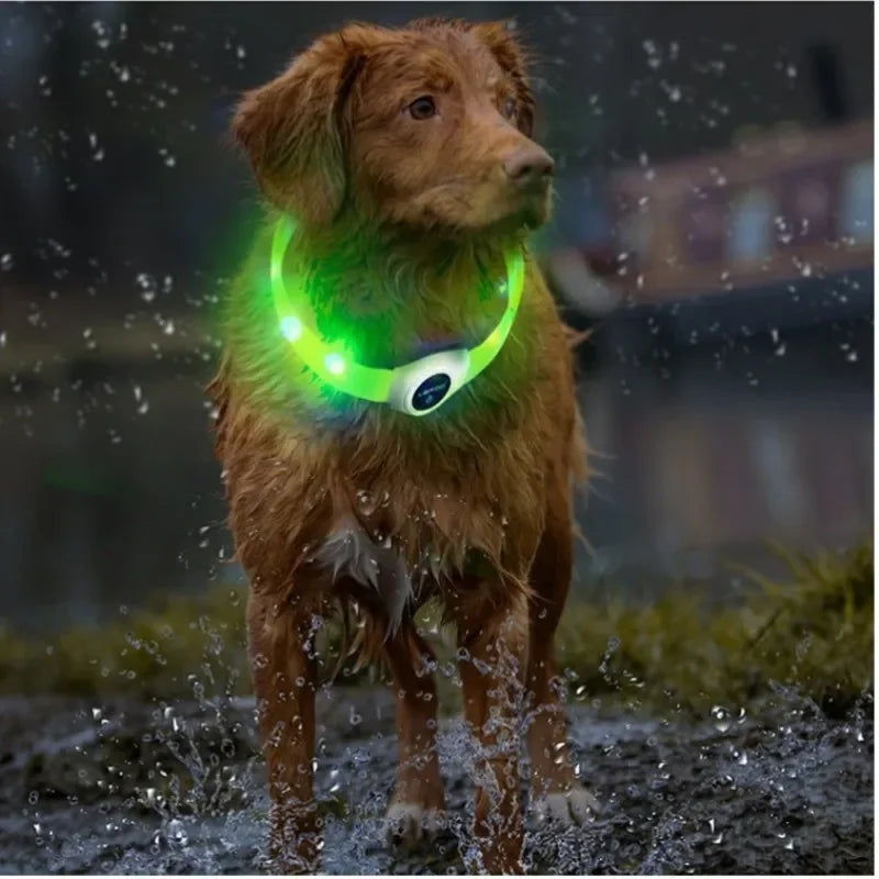 LED Luminous Dog Colla - Pawsitive Cuddles