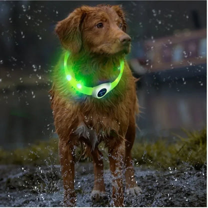 LED Luminous Dog Colla - Pawsitive Cuddles