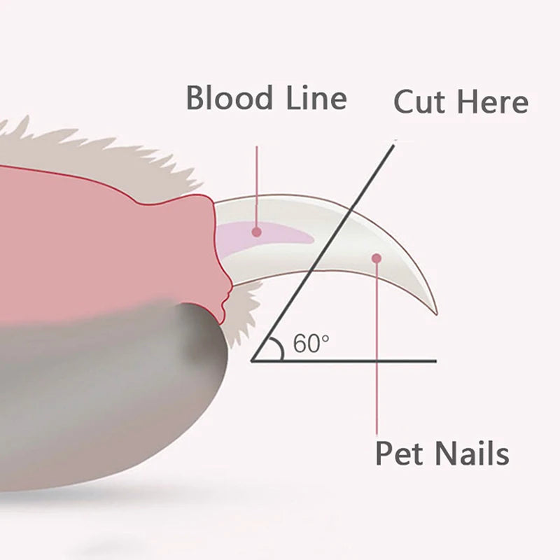 Cat & Dog Nail Clipper with LED Light - Pawsitive Cuddles