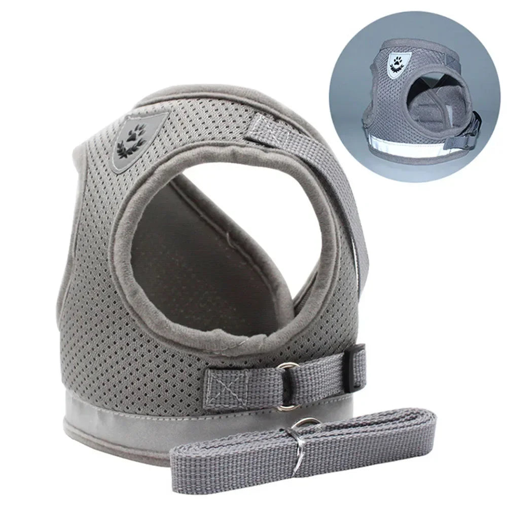 Escape-Proof Mesh Vest for Cats & Small Dogs – Soft Pet Harness with Lead - Pawsitive Cuddles
