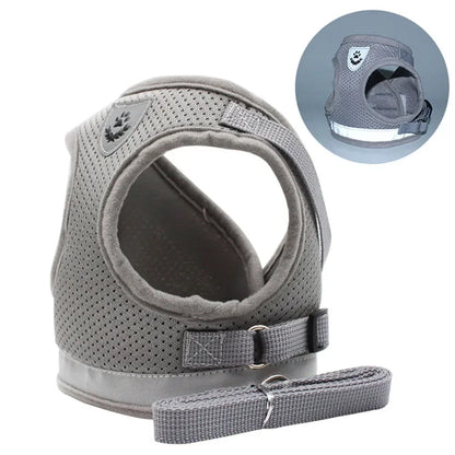 Escape-Proof Mesh Vest for Cats & Small Dogs – Soft Pet Harness with Lead - Pawsitive Cuddles