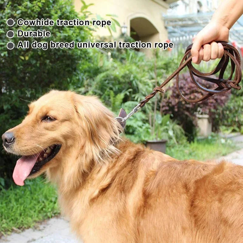 Braided Long Lead for Medium & Large Dogs - Pawsitive Cuddles