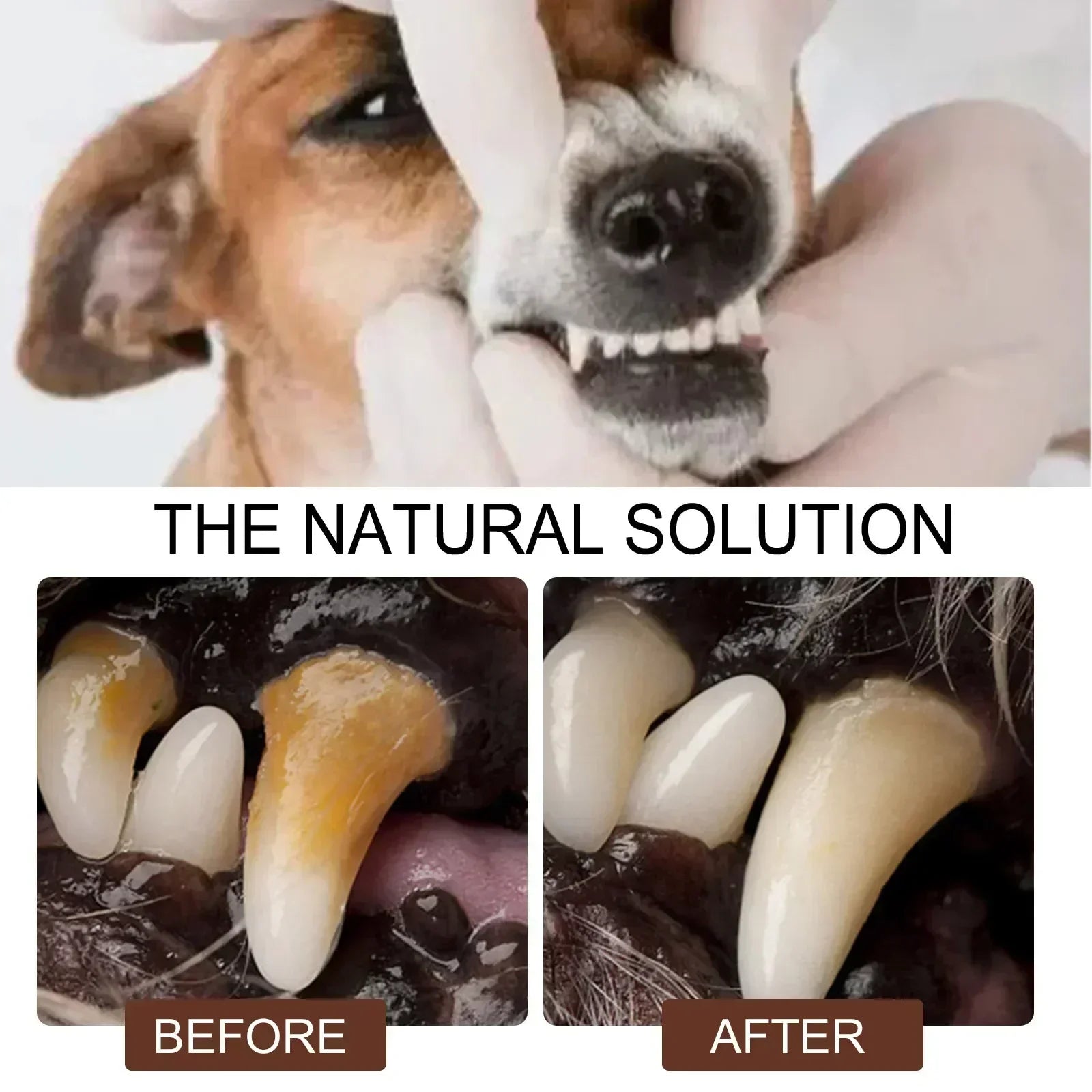 Pet Tooth Cleaning Spray - Pawsitive Cuddles