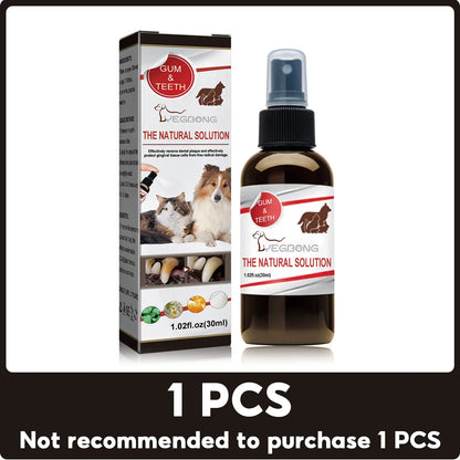 Dental Cleaning & Tartar Removal for Dogs - Pawsitive Cuddles