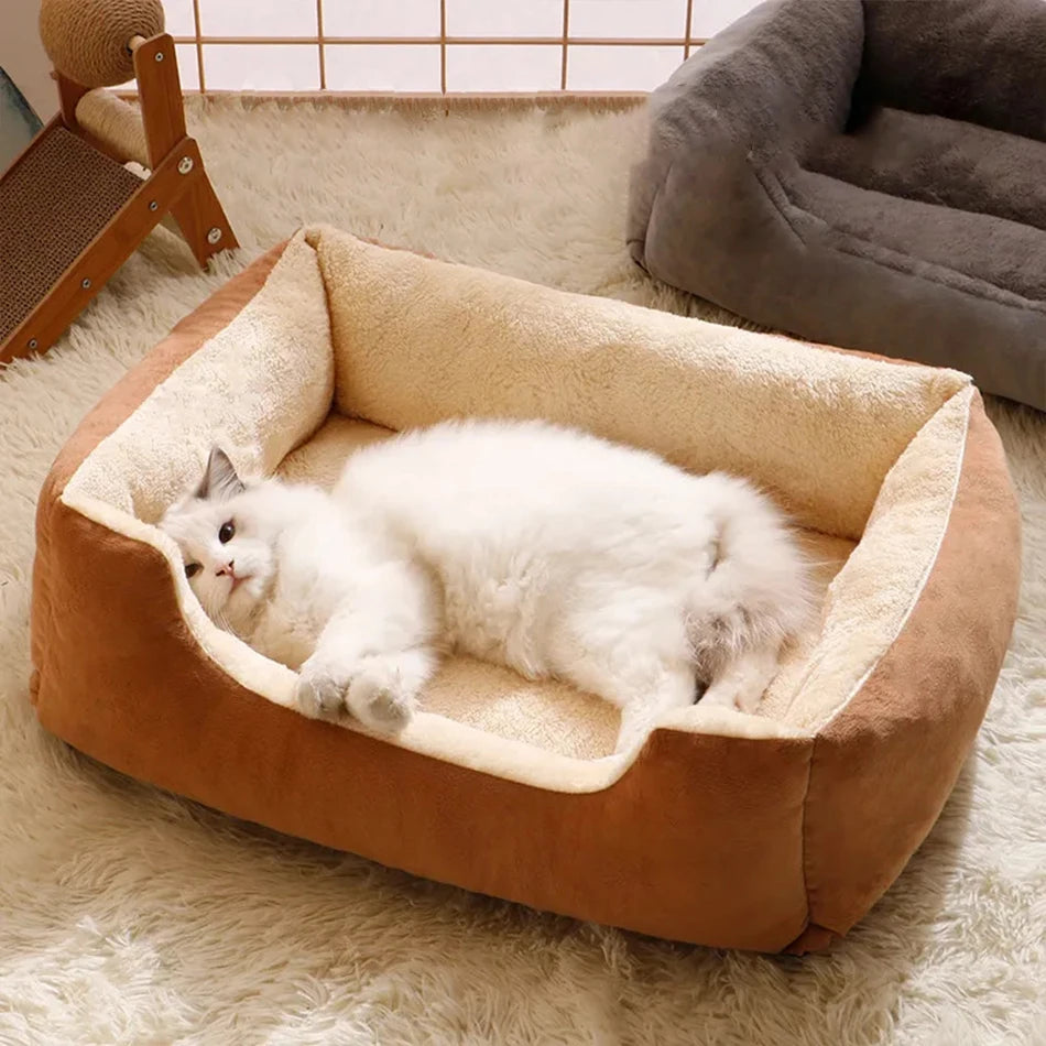 Soft Cushioned Bed for Cats & Dogs - Pawsitive Cuddles