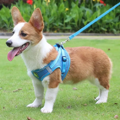 Reflective No-Pull Pet Harness & Leash Set - Pawsitive Cuddles