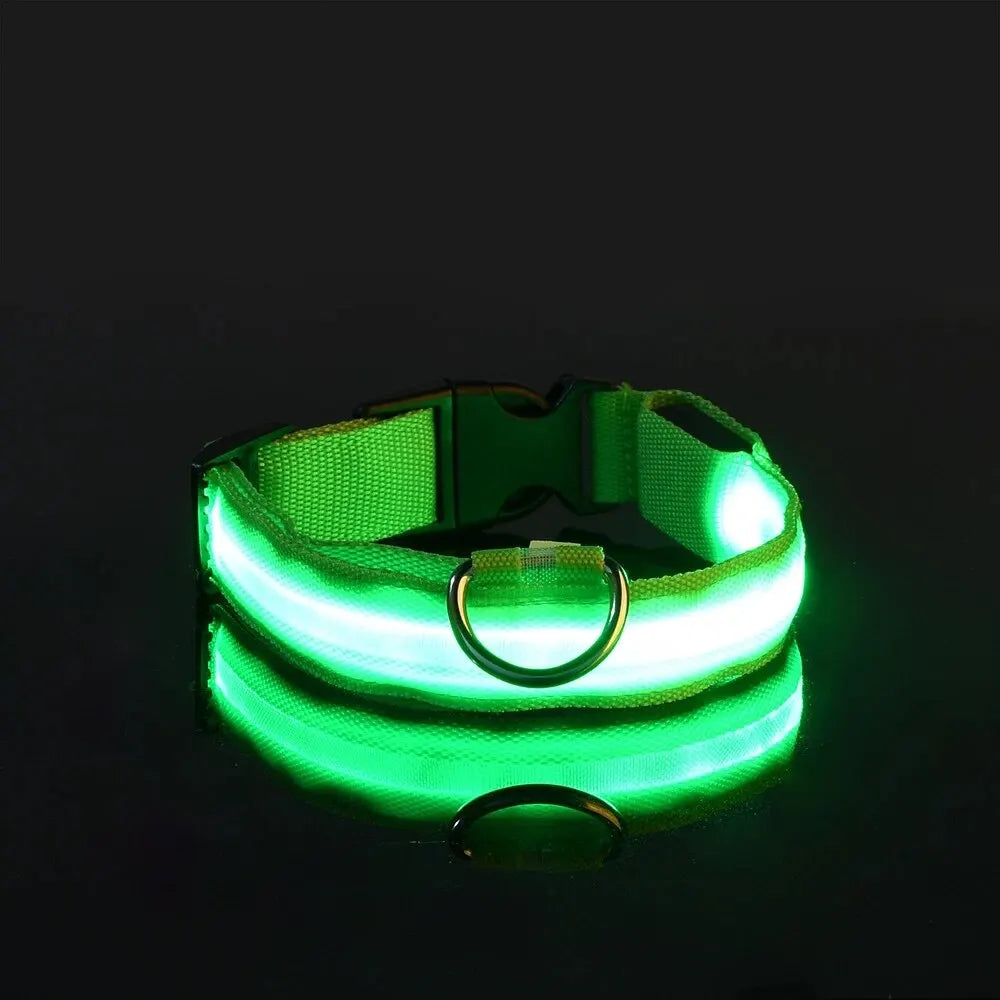 Nylon LED Night Safety Flashing Glow In The Dark Dog Leash Dogs Luminous Fluorescent Pet Dog Collar - Click Mart