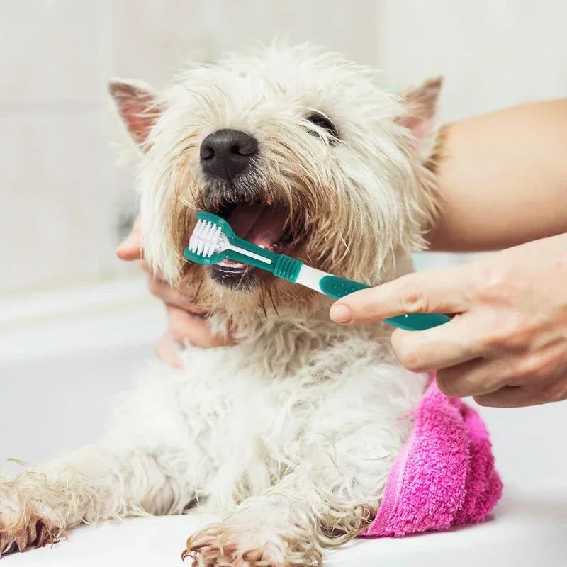 3-Sided Pet Toothbrush - Pawsitive Cuddles