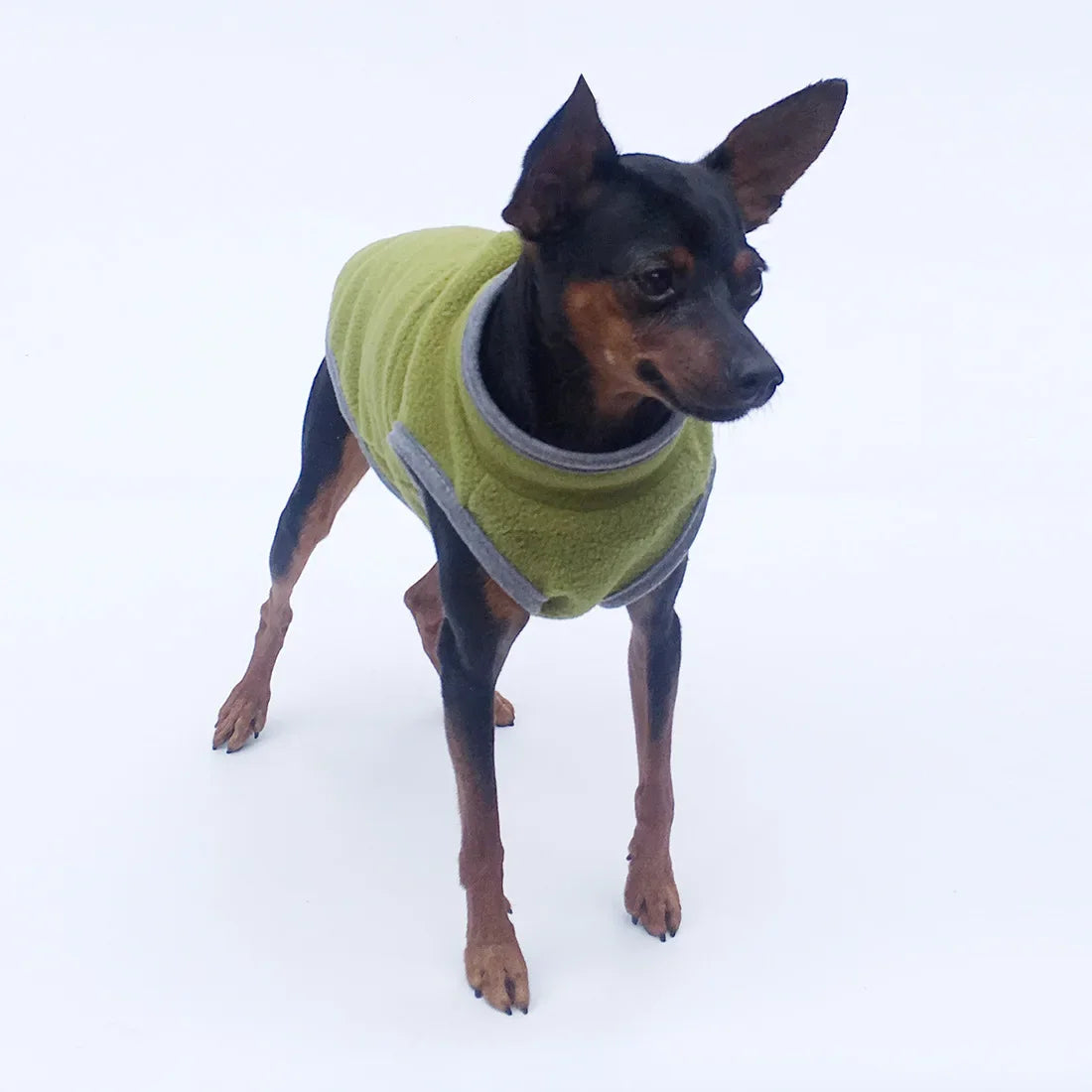 Warm Pet Jacket for Small & Medium Dogs - Pawsitive Cuddles
