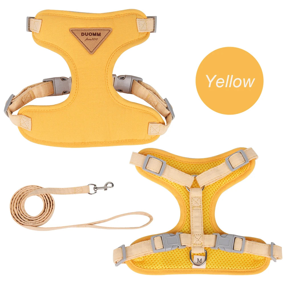 Fashion Outdoor Walking Gear for Small Dogs, Cats, - Pawsitive Cuddles