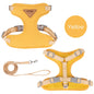 Fashion Outdoor Walking Gear for Small Dogs, Cats, - Pawsitive Cuddles