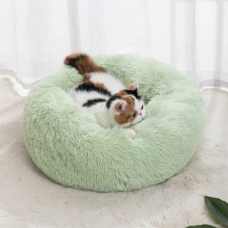 Round Soft Shaggy Mat for Kittens & Small Dogs - Pawsitive Cuddles