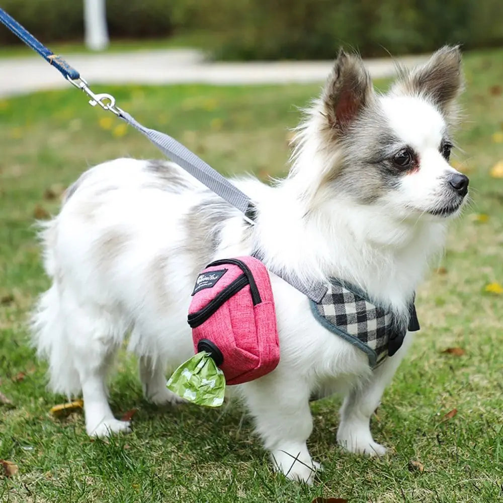 Portable Dog Treat & Training Pouch – Snack & Waste Bag Holder - Pawsitive Cuddles