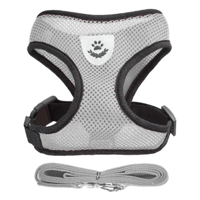 **Cat & Dog Harness Vest – Adjustable Mesh Walking Lead Leash for Small/Medium Pets** - Pawsitive Cuddles