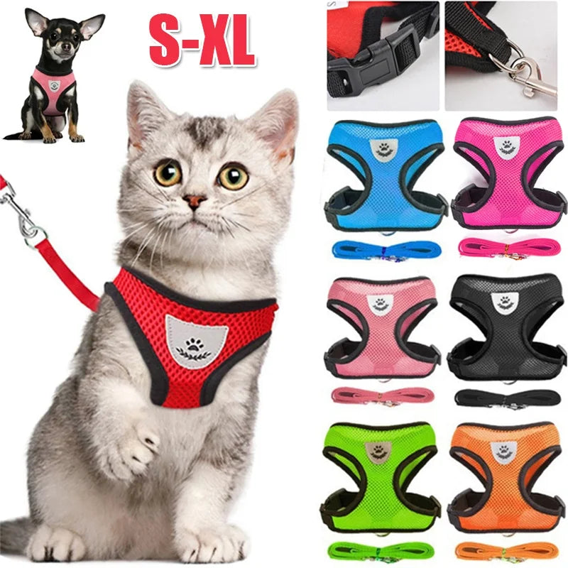 Breathable & Reflective Vest for Small Dogs & Cats - Pawsitive Cuddles