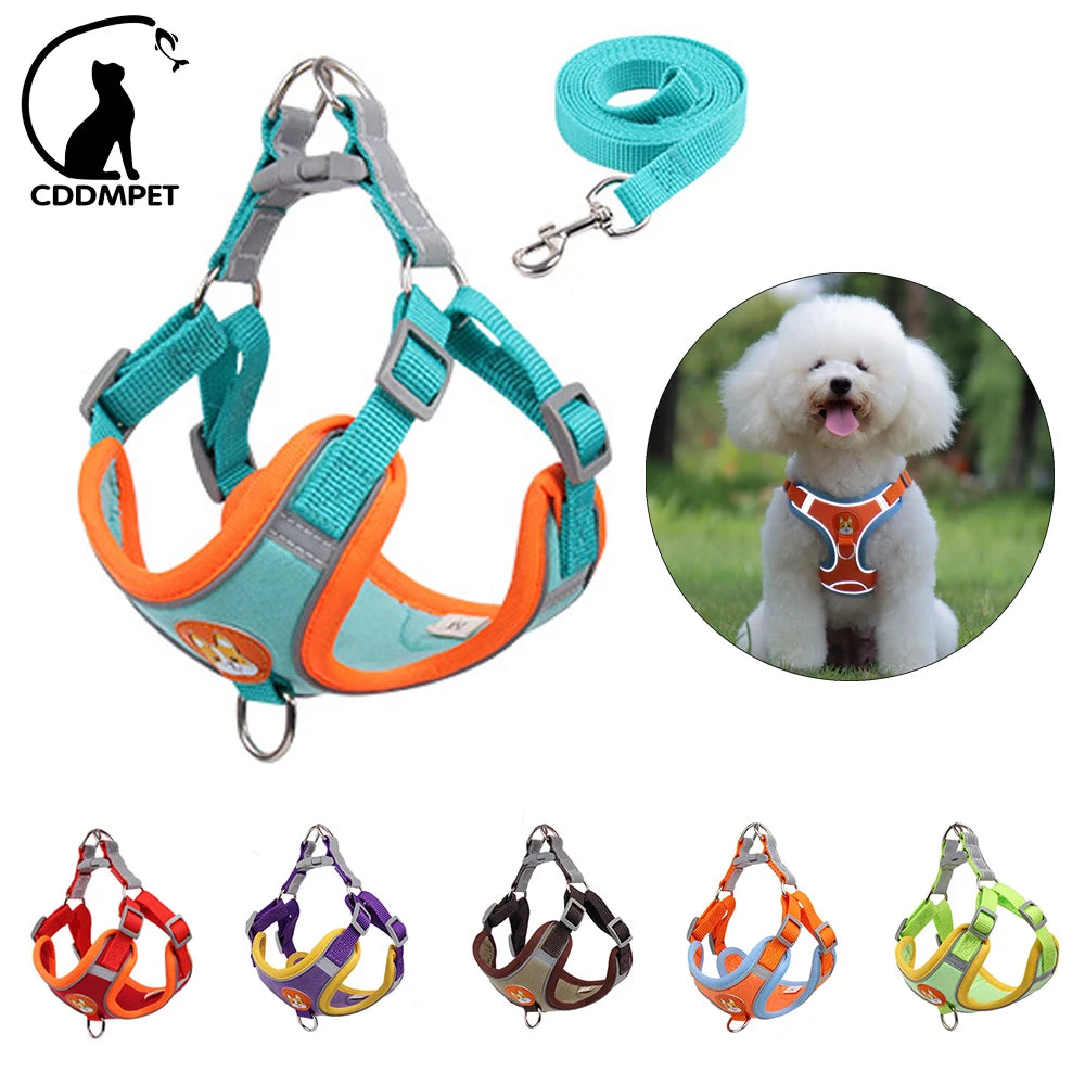 No-Pull Pet Dog Harness & Leash Set - Pawsitive Cuddles