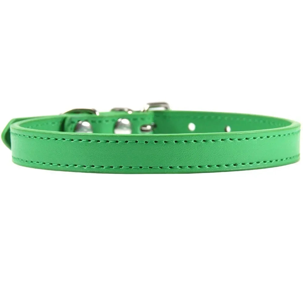 Colorful Leather Puppy & Cat Collar - Pawsitive Cuddles