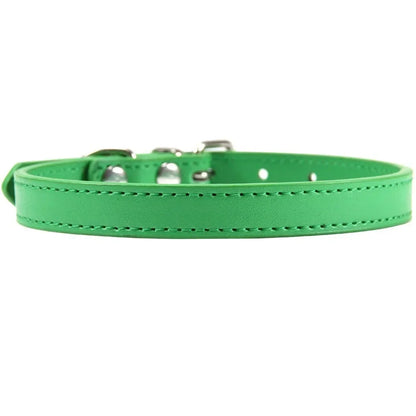Colorful Leather Puppy & Cat Collar - Pawsitive Cuddles